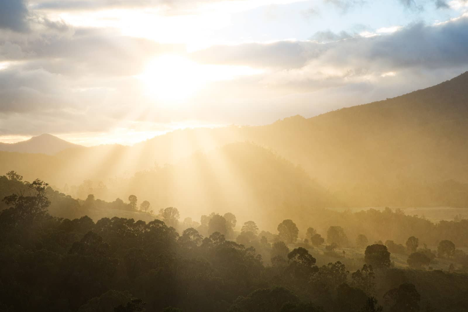 Crepuscular Rays