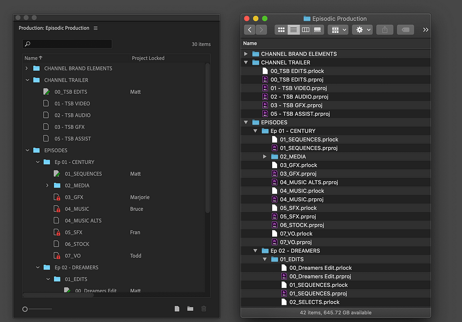 Fake Id Adobe Premiere