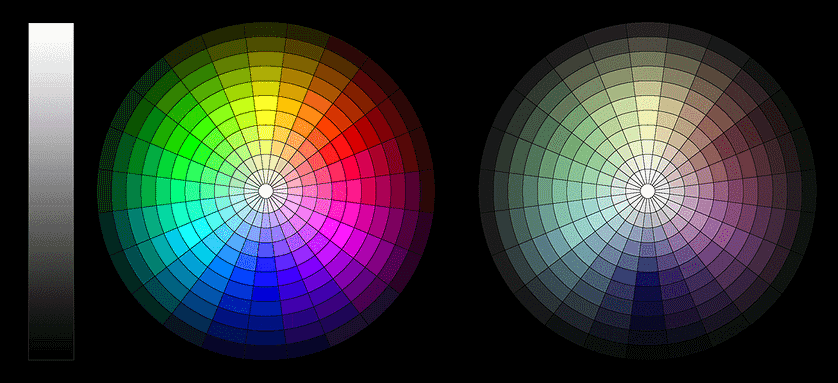 Two color wheels, one representing highly saturated hues and the other less saturated hues.