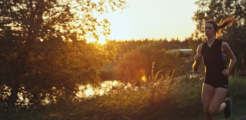 sun