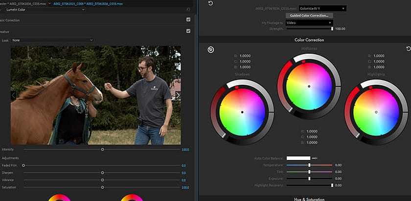 Adobe Premiere with Lumetri and Red Giant Colorista Panels