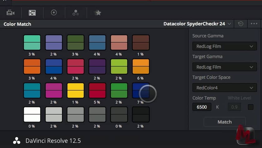 How To Use DaVinci Resolve's Color Match Tool with RAW Footage