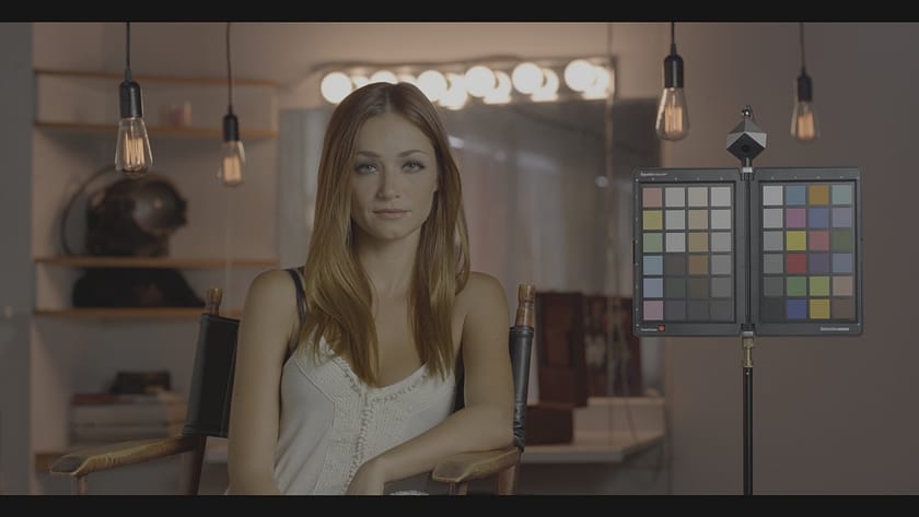 A real-world test image in Arri LogC (Originally REDLog3G10 RWG, converted using Resolve Color Management)