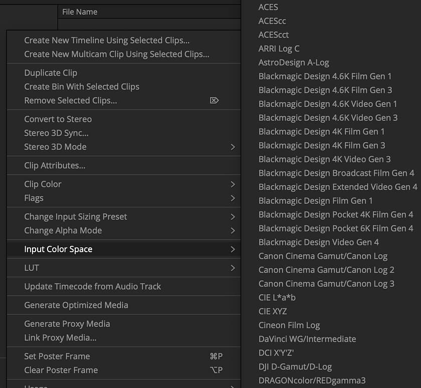 DaVinci Resolve 17, input color space contextural menu