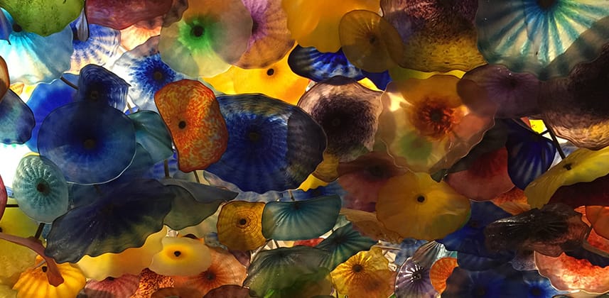 Hawaiki Color and Analyzer for FCPX