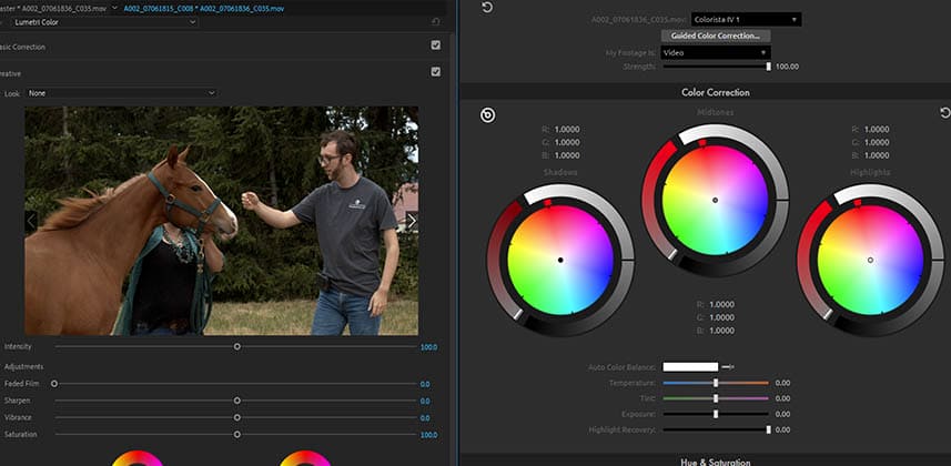 Adobe Premiere with Lumetri and Red Giant Colorista Panels
