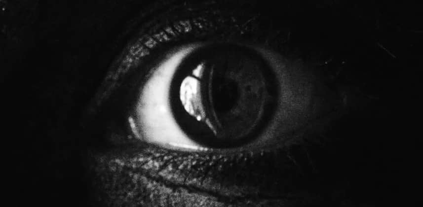 The Grey