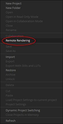 Remote Rendering